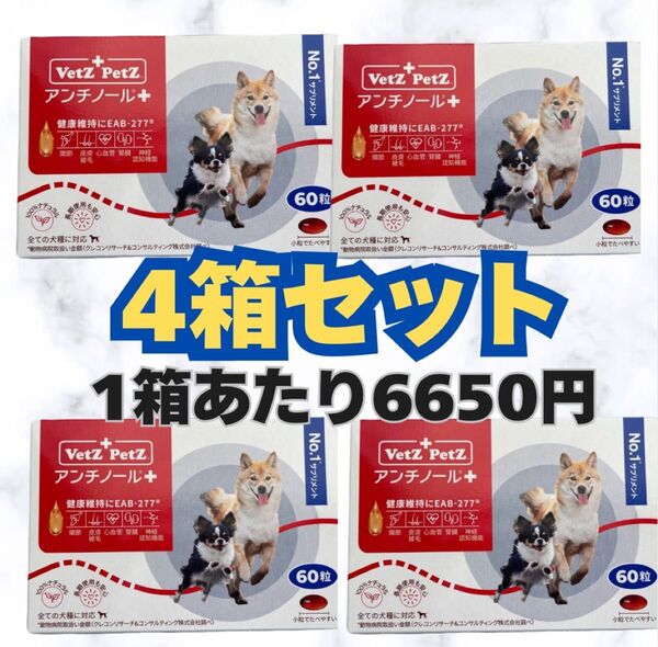 アンチノール 60粒×4セット