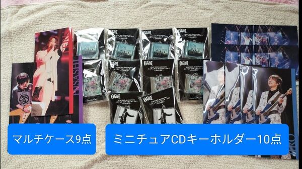 GLAY GiGO 30th ミニチュアCDキーホルダー キーホルダー マルチケース マルチクリアケース GLAY グレイ