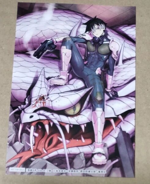 ■非売品■ 封入特典 購入特典 特典 怪獣8号 sideB ジャンプ 松本直也 安藤敬而 肥田野健太郎 イラストカード 鳴海弦