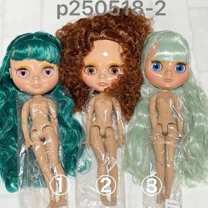 p0518-2 アイシードール本体