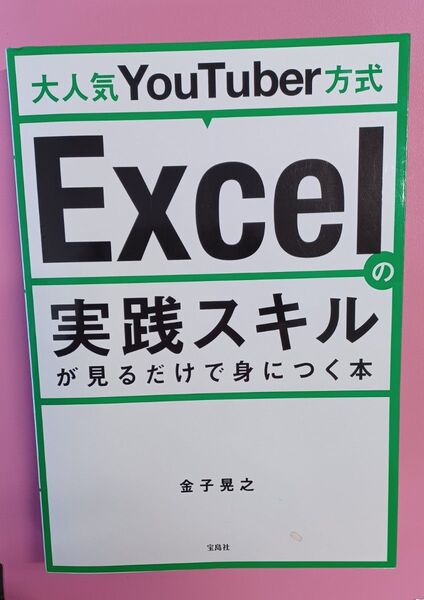 Excel実践スキルが見るだけで身につく本 金子晃之