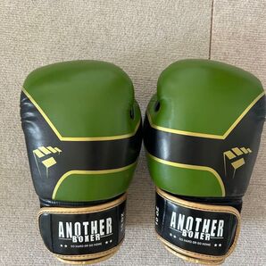 ボクシンググローブ 格闘技 MMA キックボクシング 空手 トレーニング グローブ 10oz 子供 男女兼用 初心者向け