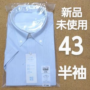【新品未使用】ワイシャツ 半袖 XL 43 青