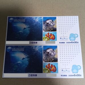新江ノ島水族館 えのすい ご招待券 2枚セット