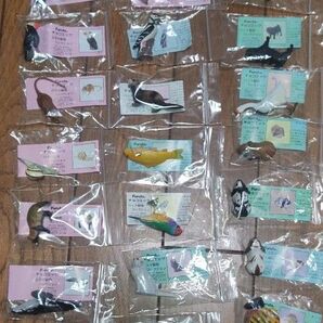 Furuta チョコエッグ 日本の動物/ペット動物コレクションフィギュア 26種
