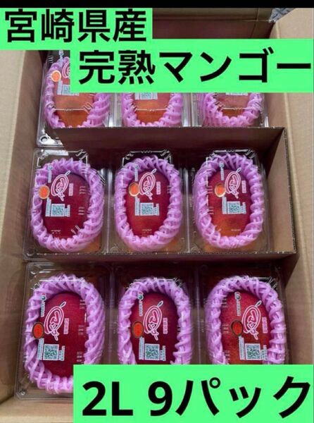16【宮崎県産】マンゴー (完熟マンゴー) 2Lサイズ 9玉入