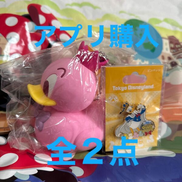新品未開封 ディズニー パルパルーザ ドナルド ピンバッジ & アヒル バッグチャーム ピンク 全2点 ピンバッジ 販売終了