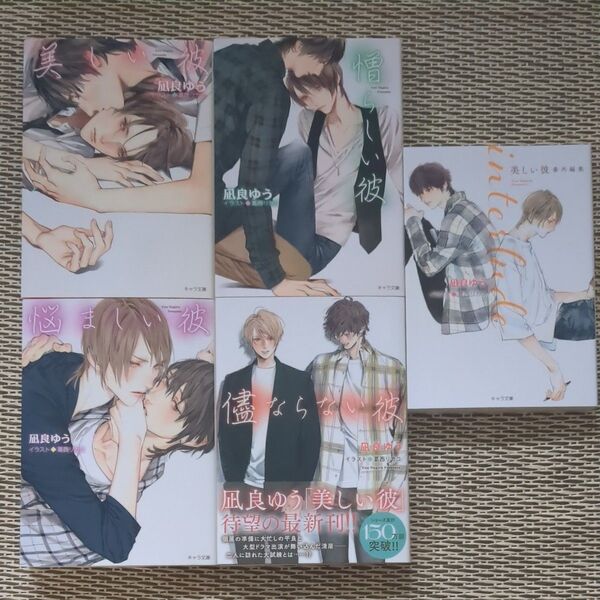 小説版【美しい彼1・2・3・4】5冊セット◆憎らしい彼・悩ましい彼・儘ならない彼・interlude 美しい彼 番外編集●凪良ゆう