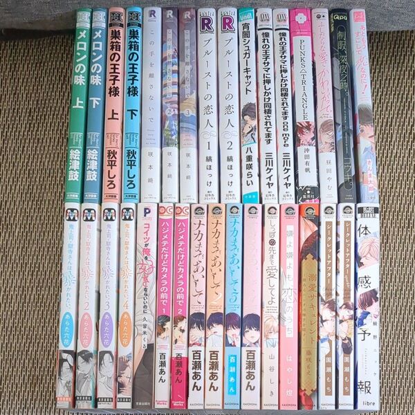 33冊まとめ売り■体感予報■鬼上司獄寺さんは暴かれたい■ナカまであいして■シークレットアフター●あらた六花●百瀬あん●沖田有帆 他
