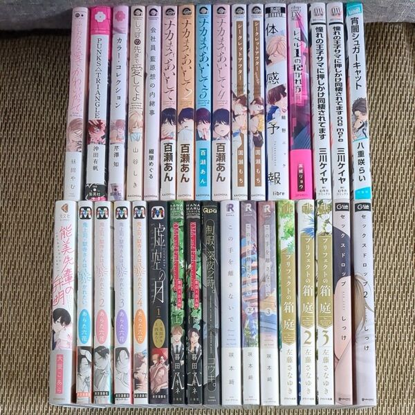 33冊まとめ売り■能美先輩の弁明■鬼上司獄寺さんは暴かれたい■ナカまであいして■虚空の月●あらた六花●百瀬あん●沖田有帆 他