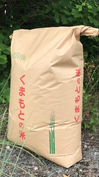 米20Kg送料無料(全国対応)熊本県産