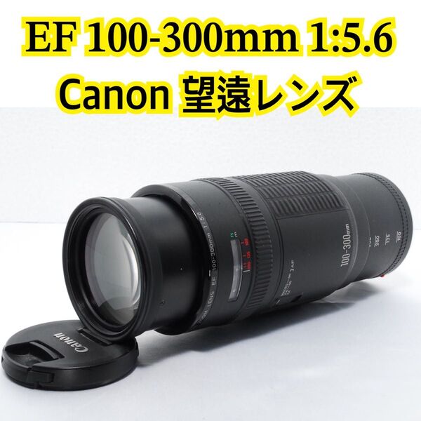 大特価 Canon 望遠レンズ EF 100-300mm F1-5.6