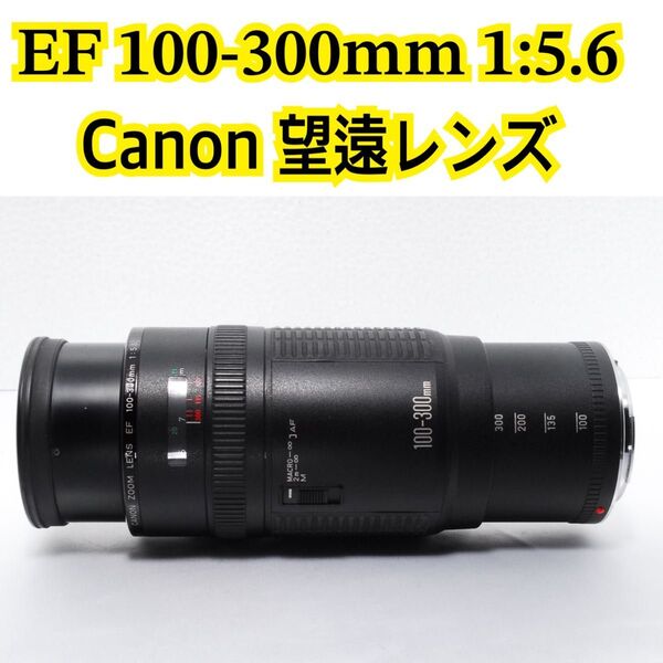 おすすめ Canon EF 100-300mm F1-5.6 望遠レンズ