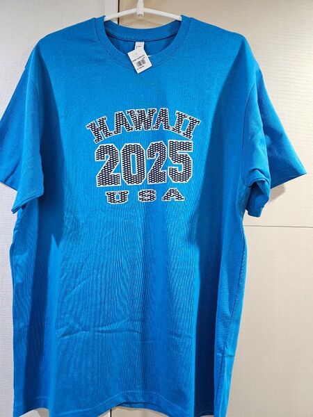 格安★LサイズTシャツ!ハワイ限定品!ハワイお土産 新品未着用!Hawaii 2025 USA 青
