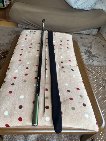 DAIWA AVANCER75-80早瀬抜