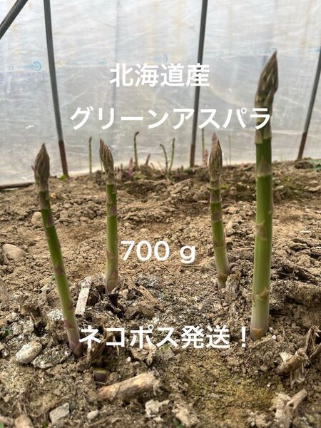 北海道産グリーンアスパラ 700g