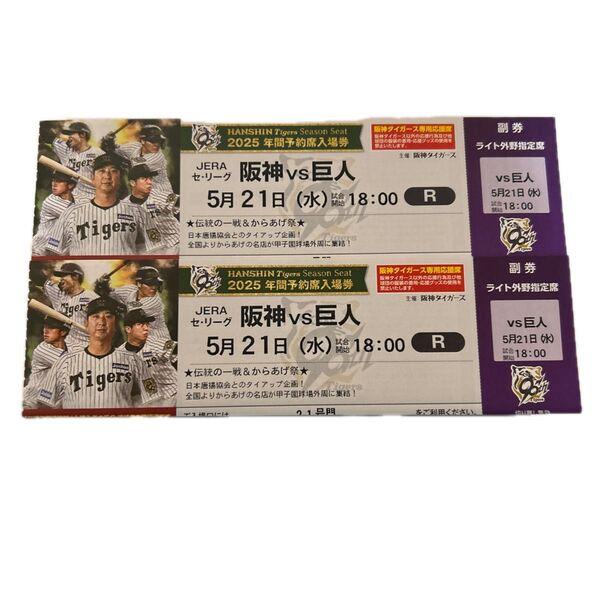阪神タイガース 甲子園球場 ライト外野席 ペア チケット 2席連番(雨天補償あり)