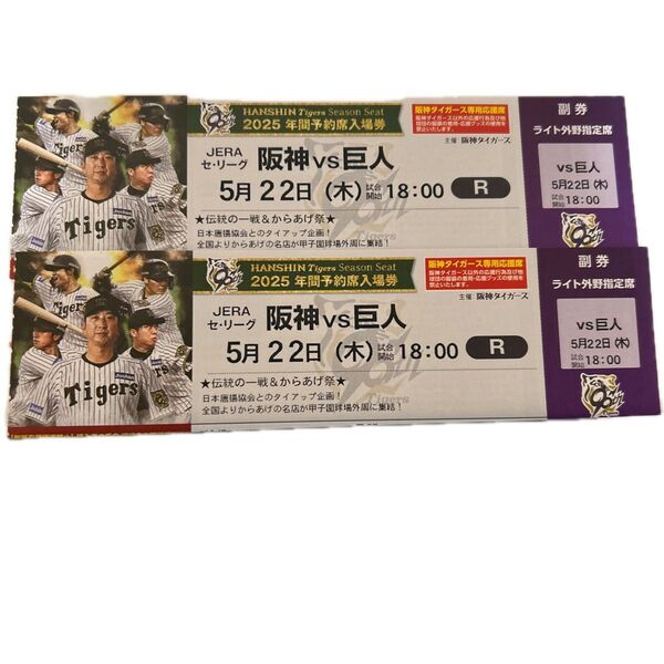 阪神タイガース 甲子園球場 ライト外野席 ペア チケット 2席連番(雨天補償あり)