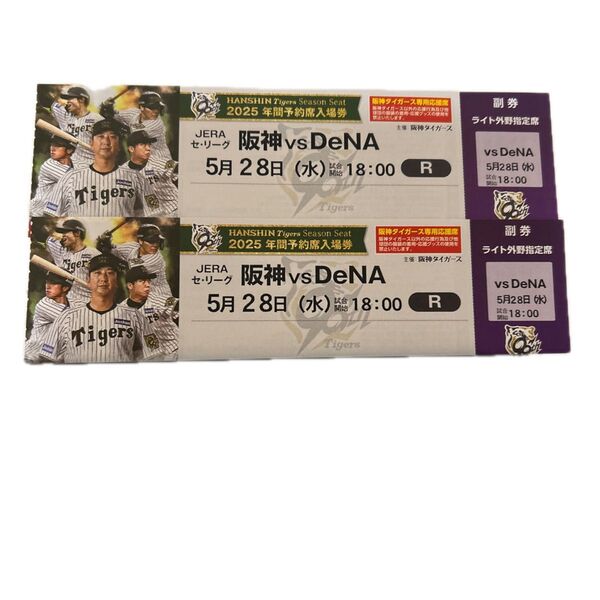 阪神タイガース 甲子園球場 ライト外野席 ペア チケット 2席連番(雨天補償あり)