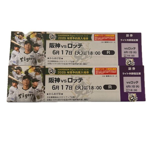 阪神タイガース 甲子園球場 ライト外野席 ペア チケット 2席連番(雨天補償あり)セパ交流戦