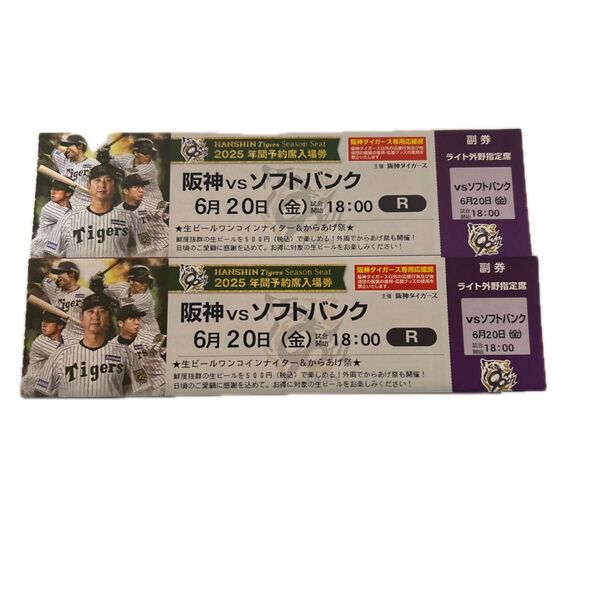 阪神タイガース 甲子園球場 ライト外野席 ペア チケット 2席連番(雨天補償あり)セパ交流戦
