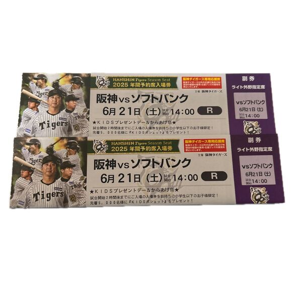 阪神タイガース 甲子園球場 ライト外野席 ペア チケット 2席連番(雨天補償あり)セパ交流戦