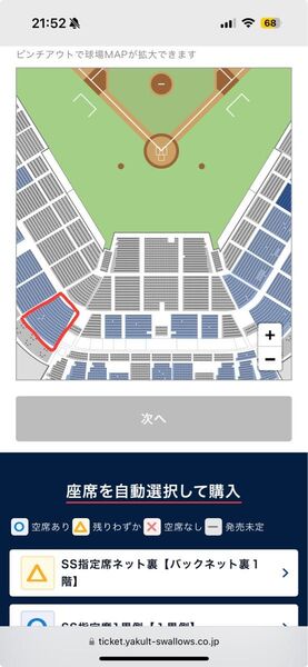 東京ヤクルトスワローズvs阪神タイガース 6月29日(日) 3塁側指定席S席 ペア(2枚)連番