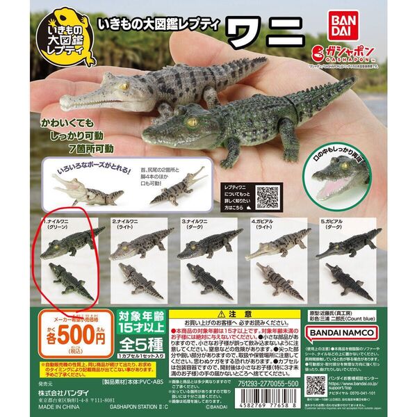 いきもの大図鑑レプティ ワニ ナイルワニ グリーン ガチャガチャ ガチャ ガチャポン ガシャポン バンダイ BANDAI