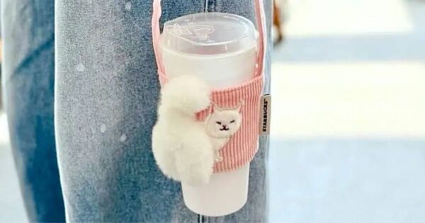 スターバックス 台湾 STARBUCKS 2025 ピンク ドリンクホルダー 猫 ネコ