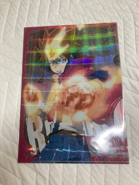 家庭教師ヒットマンREBORN リボーン 沢田綱吉 ツナ ファイル