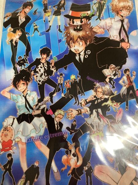 家庭教師ヒットマンREBORN リボーン ツナ 沢田綱吉 六道骸 雲雀恭弥 獄寺隼人 山本武 ザンザス フラン ベルフェゴール