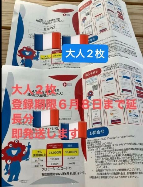 万博通期パス 割引コード 大人2枚 6月8日まで延長分 即発送