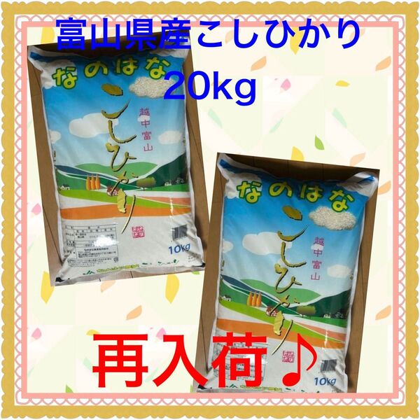 ☆安心の店頭購入品☆富山県産 こしひかり コシヒカリ 10kg×② 20kg