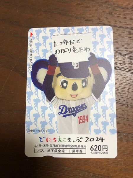 中日ドラゴンズ ドニチエコきっぷ