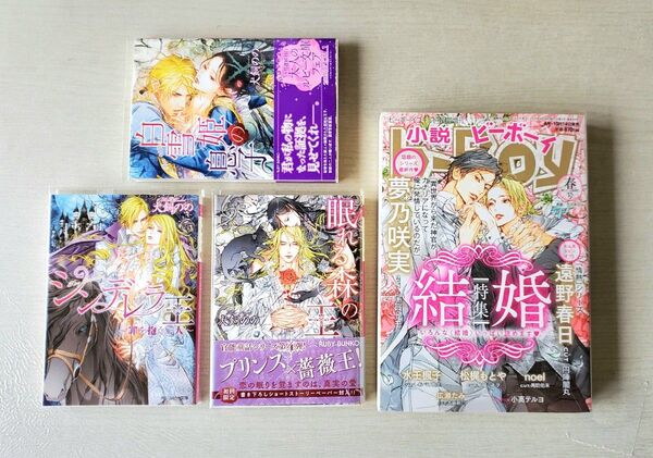 4冊bl小説/笠井あゆみ、犬飼ののシンデレラ王、眠れる森の王、白雪姫の息子、ビーボーイ2019結婚特集、ボーイズラブ夢乃咲実