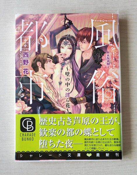bl小説/風俗都市 ~壁の中の淫ら花、西野花