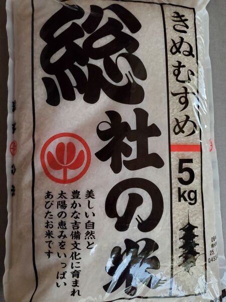 米 特A きぬむすめ 令和6年産 白米 5kg 4月精米 岡山県産