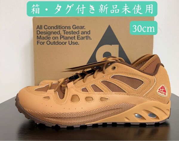 期間限定セール ナイキ ACG エア エクスプロレイド メンズ シューズ スニーカー 靴 FV2925-200 30cm