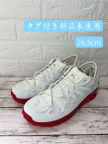 期間限定セール NIKE ナイキ ACG エアエクスプロレイド メンズ シューズ スニーカー FJ1920-101 26.5cm