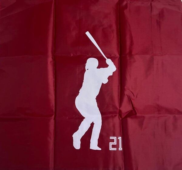北海道日本ハムファイターズ 選手カラーエコバッグ FAV会員限定配布品 清宮幸太郎選手バージョン
