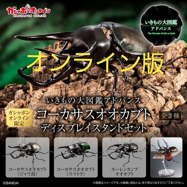 モーレンカンプオオカブト いきもの大図鑑アドバンス コーカサスオオカブト オンライン版 新品未開封