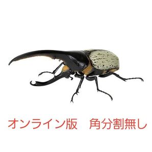 ヘラクレスリッキー ブルー いきもの大図鑑かぶとむし07 オンライン版 新品未開封