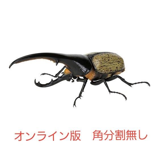 ヘラクレスヘラクレス いきもの大図鑑かぶとむし07 オンライン版 新品未開封