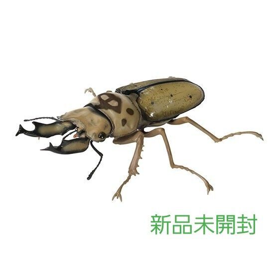 モセリオウゴンオニクワガタ いきもの大図鑑くわがた09 新品未開封