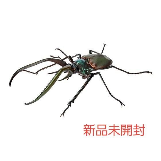 チリクワガタ いきもの大図鑑くわがた08 新品未開封
