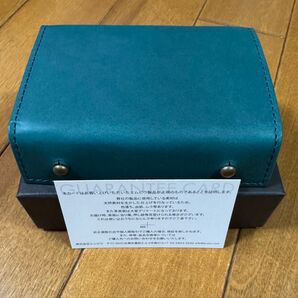 m+ エムピウ ミッレフォッリエⅡ P25 オルテンシア イエロー