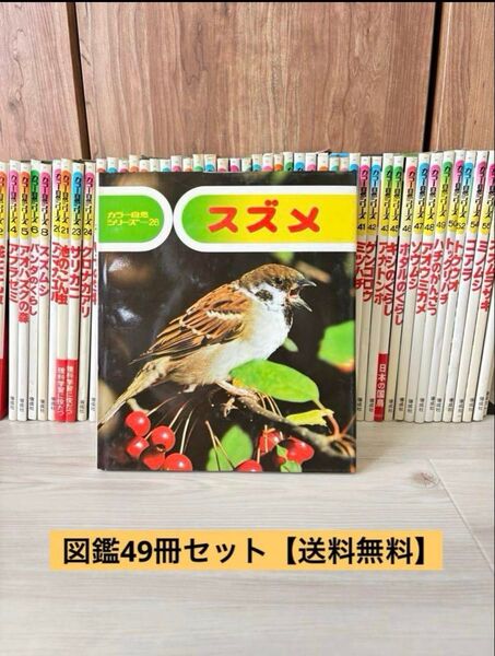 図鑑49冊セット カラー自然シリーズ