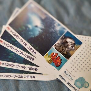江ノ島水族館招待券
