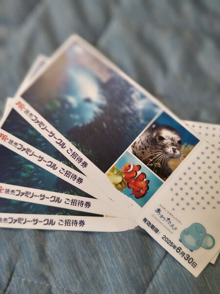新江ノ島水族館 招待券 4枚セット