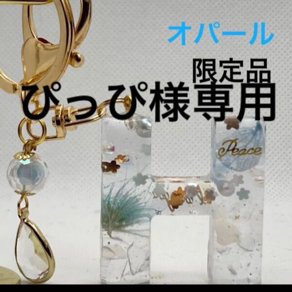 イニシャルキーホルダー レジン ハンドメイド ピンク系ドライフラワー 桜 宇宙 オパール